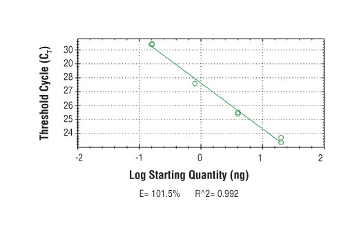 SimpleChIP ® Human Nanog Promoter Primers were tested on DNA isolated from cross-linked cells using the SimpleChIP ® Enzymatic Chromatin IP Kit (Magnetic Beads) #9003. Real-time PCR was performed in duplicate on a serial dilution of 2% total input DNA (20 ng, 4 ng, 0.8 ng, and 0.16 ng) using a real-time PCR detection system and SYBR ® Green reaction mix. The PCR amplification efficiency (E) and correlation coefficient (R 2 ) were calculated based on the corresponding threshold cycle (C T ) of each dilution sample during 40 cycles of real-time PCR (95°C denaturation for 15 sec, 65°C anneal/extension for 60 sec).