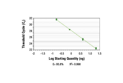 SimpleChIP ® Human PMAIP1 Intron 1 Primers were tested on DNA isolated from cross-linked cells using the SimpleChIP ® Enzymatic Chromatin IP Kit (Magnetic Beads) #9003. Real-time PCR was performed in duplicate on a serial dilution of 2% total input DNA (20 ng, 4 ng, 0.8 ng, and 0.16 ng) using a real-time PCR detection system and SYBR ® Green reaction mix. The PCR amplification efficiency (E) and correlation coefficient (R 2 ) were calculated based on the corresponding threshold cycle (C T ) of each dilution sample during 40 cycles of real-time PCR (95°C denaturation for 15 sec, 65°C anneal/extension for 60 sec).