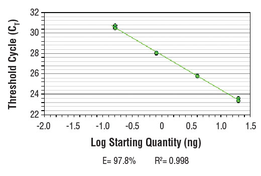 SimpleChIP ® Mouse OGDH Intron 1 Primers were tested on DNA isolated from cross-linked cells using the SimpleChIP ® Enzymatic Chromatin IP Kit (Magnetic Beads) #9003. Real-time PCR was performed in duplicate on a serial dilution of 2% total input DNA (20 ng, 4 ng, 0.8 ng, and 0.16 ng) using a real-time PCR detection system and SYBR ® Green reaction mix. The PCR amplification efficiency (E) and correlation coefficient (R 2 ) were calculated based on the corresponding threshold cycle (C T ) of each dilution sample during 40 cycles of real-time PCR (95°C denaturation for 15 sec, 60°C anneal/extension for 60 sec).