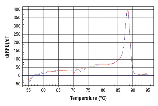 PCR product melting curves were obtained for real-time PCR reactions performed using SimpleChIP ® Mouse OGDH Intron 1 Primers. Data is shown for both duplicate PCR reactions using 20 ng of total DNA. The melt curve consists of 80 melt cycles, starting at 55°C with increments of 0.5°C per cycle. Each peak is formed from the degradation of a single PCR product.
