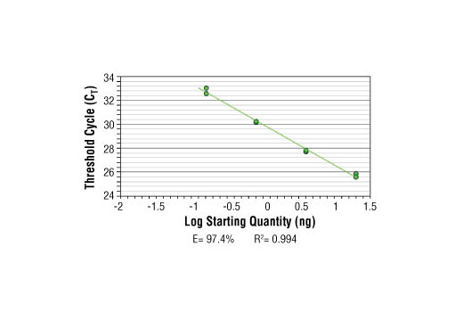 SimpleChIP ® Human PRF1 Promoter Primers were tested on DNA isolated from cross-linked cells using the SimpleChIP ® Enzymatic Chromatin IP Kit (Magnetic Beads) #9003. Real-time PCR was performed in duplicate on a serial dilution of 2% total input DNA (20 ng, 4 ng, 0.8 ng, and 0.16 ng) using a real-time PCR detection system and SYBR ® Green reaction mix. The PCR amplification efficiency (E) and correlation coefficient (R 2 ) were calculated based on the corresponding threshold cycle (C T ) of each dilution sample during 40 cycles of real-time PCR (95°C denaturation for 15 sec, 65°C anneal/extension for 60 sec).