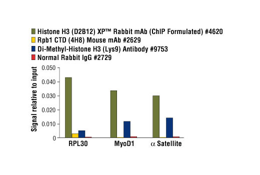 Chromatin immunoprecipitations were performed using digested chromatin from HeLa cells and the indicated antibodies. Purified DNA was analyzed by quantitative real-time PCR, using SimpleChIP ® Human RPL30 Exon 3 Primers #7014, SimpleChIP ® Human MyoD1 Exon 1 Primers #4490, and SimpleChIP ® Human α Satellite Repeat Primers #4486. The relative abundance of each DNA sequence enriched by protein-specific immunoprecipitations is compared to the amount of the same DNA sequence enriched by the non-specific Normal Rabbit IgG #2729 (background).