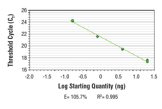 SimpleChIP ® Human RNU2-1 Promoter Primers were tested on DNA isolated from cross-linked cells using the SimpleChIP ® Enzymatic Chromatin IP Kit (Magnetic Beads) #9003. Real-time PCR was performed in duplicate on a serial dilution of 2% total input DNA (20 ng, 4 ng, 0.8 ng, and 0.16 ng) using a real-time PCR detection system and SYBR ® Green reaction mix. The PCR amplification efficiency (E) and correlation coefficient (R 2 ) were calculated based on the corresponding threshold cycle (C T ) of each dilution sample during 40 cycles of real-time PCR (95°C denaturation for 15 sec, 65°C anneal/extension for 60 sec).