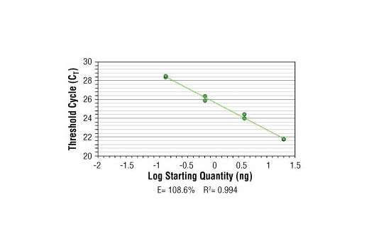 SimpleChIP ® Mouse RPL30 Intron 2 Primers were tested on DNA isolated from cross-linked cells using the SimpleChIP ® Enzymatic Chromatin IP Kit (Magnetic Beads) #9003. Real-time PCR was performed in duplicate on a serial dilution of 2% total input DNA (20 ng, 4 ng, 0.8 ng, and 0.16 ng) using a real-time PCR detection system and SYBR ® Green reaction mix. The PCR amplification efficiency (E) and correlation coefficient (R 2 ) were calculated based on the corresponding threshold cycle (C T ) of each dilution sample during 40 cycles of real-time PCR (95°C denaturation for 15 sec, 60°C anneal/extension for 60 sec).