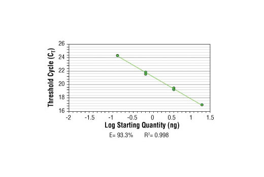SimpleChIP ® Human Sat2 Repeat Element Primers were tested on DNA isolated from cross-linked cells using the SimpleChIP ® Enzymatic Chromatin IP Kit (Magnetic Beads) #9003. Real-time PCR was performed in duplicate on a serial dilution of 2% total input DNA (20 ng, 4 ng, 0.8 ng, and 0.16 ng) using a real-time PCR detection system and SYBR ® Green reaction mix. The PCR amplification efficiency (E) and correlation coefficient (R 2 ) were calculated based on the corresponding threshold cycle (C T ) of each dilution sample during 40 cycles of real-time PCR (95°C denaturation for 15 sec, 65°C anneal/extension for 60 sec).