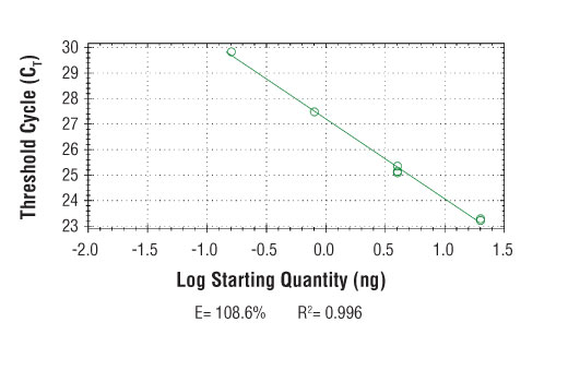 SimpleChIP ® Mouse SLA2 Promoter Primers were tested on DNA isolated from cross-linked cells using the SimpleChIP ® Enzymatic Chromatin IP Kit (Magnetic Beads) #9003. Real-time PCR was performed in duplicate on a serial dilution of 2% total input DNA (20 ng, 4 ng, 0.8 ng, and 0.16 ng) using a real-time PCR detection system and SYBR ® Green reaction mix. The PCR amplification efficiency (E) and correlation coefficient (R 2 ) were calculated based on the corresponding threshold cycle (C T ) of each dilution sample during 40 cycles of real-time PCR (95°C denaturation for 15 sec, 65°C anneal/extension for 60 sec).