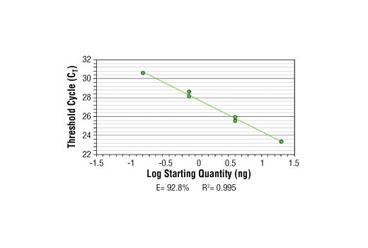 SimpleChIP ® Human TAP1 Promoter Primers were tested on DNA isolated from cross-linked cells using the SimpleChIP ® Enzymatic Chromatin IP Kit (Magnetic Beads) #9003. Real-time PCR was performed in duplicate on a serial dilution of 2% total input DNA (20 ng, 4 ng, 0.8 ng, and 0.16 ng) using a real-time PCR detection system and SYBR ® Green reaction mix. The PCR amplification efficiency (E) and correlation coefficient (R 2 ) were calculated based on the corresponding threshold cycle (C T ) of each dilution sample during 40 cycles of real-time PCR (95°C denaturation for 15 sec, 60°C anneal/extension for 60 sec).