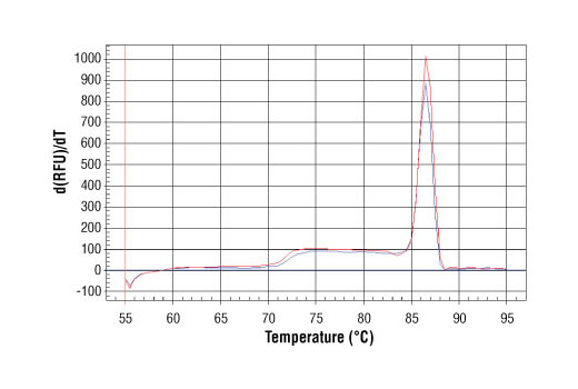 PCR product melting curves were obtained for real-time PCR reactions performed using SimpleChIP ® Human TAP1 Promoter Primers. Data is shown for both duplicate PCR reactions using 20 ng of total DNA. The melt curve consists of 80 melt cycles, starting at 55°C with increments of 0.5°C per cycle. Each peak is formed from the degradation of a single PCR product.