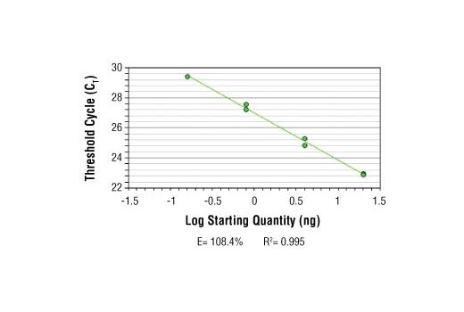 SimpleChIP ® Human pS2 Promoter Primers were tested on DNA isolated from cross-linked cells using the SimpleChIP ® Enzymatic Chromatin IP Kit (Magnetic Beads) #9003. Real-time PCR was performed in duplicate on a serial dilution of 2% total input DNA (20 ng, 4 ng, 0.8 ng, and 0.16 ng) using a real-time PCR detection system and SYBR ® Green reaction mix. The PCR amplification efficiency (E) and correlation coefficient (R 2 ) were calculated based on the corresponding threshold cycle (C T ) of each dilution sample during 40 cycles of real-time PCR (95°C denaturation for 15 sec, 65°C anneal/extension for 60 sec).