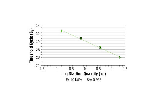 SimpleChIP ® Human Timeless Intron 1 Primers were tested on DNA isolated from cross-linked cells using the SimpleChIP ® Enzymatic Chromatin IP Kit (Magnetic Beads) #9003. Real-time PCR was performed in duplicate on a serial dilution of 2% total input DNA (20 ng, 4 ng, 0.8 ng, and 0.16 ng) using a real-time PCR detection system and SYBR ® Green reaction mix. The PCR amplification efficiency (E) and correlation coefficient (R 2 ) were calculated based on the corresponding threshold cycle (C T ) of each dilution sample during 40 cycles of real-time PCR (95°C denaturation for 15 sec, 65°C anneal/extension for 60 sec).