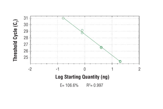 SimpleChIP ® Human ZNF19 Intron 3 Primers were tested on DNA isolated from cross-linked cells using the SimpleChIP ® Enzymatic Chromatin IP Kit (Magnetic Beads) #9003. Real-time PCR was performed in duplicate on a serial dilution of 2% total input DNA (20 ng, 4 ng, 0.8 ng, and 0.16 ng) using a real-time PCR detection system and SYBR ® Green reaction mix. The PCR amplification efficiency (E) and correlation coefficient (R 2 ) were calculated based on the corresponding threshold cycle (C T ) of each dilution sample during 40 cycles of real-time PCR (95°C denaturation for 15 sec, 65°C anneal/extension for 60 sec).