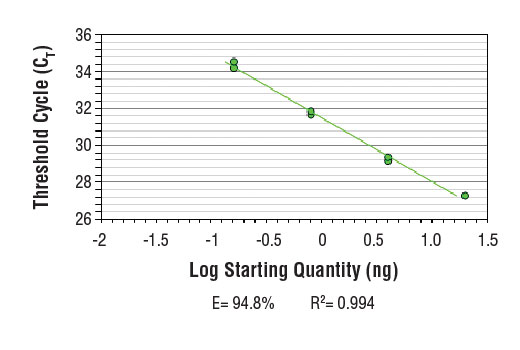 SimpleChIP ® Human 28S rDNA Repeat Primers were tested on DNA isolated from cross-linked cells using the SimpleChIP ® Enzymatic Chromatin IP Kit (Magnetic Beads) #9003. Real-time PCR was performed in duplicate on a serial dilution of 2% total input DNA (20 ng, 4 ng, 0.8 ng, and 0.16 ng) using a real-time PCR detection system and SYBR ® Green reaction mix. The PCR amplification efficiency (E) and correlation coefficient (R 2 ) were calculated based on the corresponding threshold cycle (C T ) of each dilution sample during 40 cycles of real-time PCR (95°C denaturation for 15 sec, 65°C anneal/extension for 60 sec).
