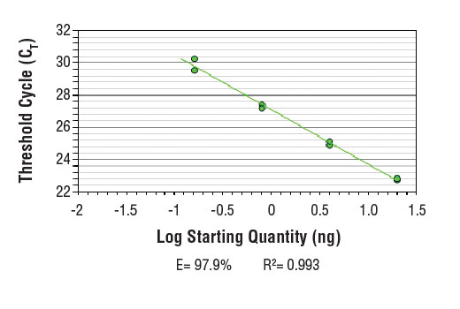 SimpleChIP ® Human HoxA9 Promoter Primers were tested on DNA isolated from cross-linked cells using the SimpleChIP ® Enzymatic Chromatin IP Kit (Magnetic Beads) #9003. Real-time PCR was performed in duplicate on a serial dilution of 2% total input DNA (20 ng, 4 ng, 0.8 ng, and 0.16 ng) using a real-time PCR detection system and SYBR ® Green reaction mix. The PCR amplification efficiency (E) and correlation coefficient (R 2 ) were calculated based on the corresponding threshold cycle (C T ) of each dilution sample during 40 cycles of real-time PCR (95°C denaturation for 15 sec, 65°C anneal/extension for 60 sec).