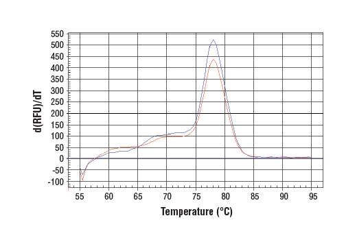 PCR product melting curves were obtained for real-time PCR reactions performed using SimpleChIP ® Human HoxA9 Promoter Primers. Data is shown for both duplicate PCR reactions using 20 ng of total DNA. The melt curve consists of 80 melt cycles, starting at 55°C with increments of 0.5°C per cycle. Each peak is formed from the degradation of a single PCR product.