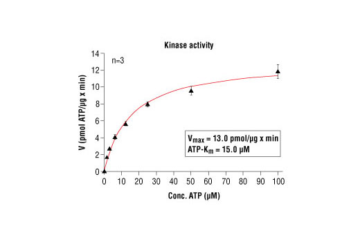 Figure 1. Aurora C kinase activity was measured in a radiometric assay using the following reaction conditions: 60 mM HEPES-NaOH, pH 7.5, 3 mM MgCl2, 3 mM MnCl2, 3 µM Na-orthovanadate, 1.2 mM DTT, ATP (variable), 2.5 µg/50 µl PEG20.000, Substrate: R11-CDC25C-derived Peptide (R11-ISDELMDATFADQEAK), 5 µg/50 µl, recombinant Aurora C: 200 ng/50 µl.