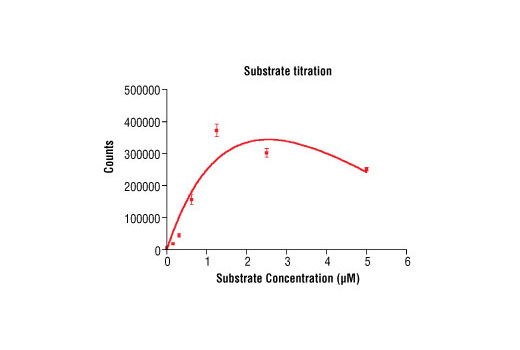 Figure 4. Peptide concentration dependence of Aurora C kinase activity: DELFIA® data generated using Phospho-PLK (Ser137) Antibody #5070 to detect phosphorylation of substrate peptide (#1300) by Aurora C kinase. In a 50 µl reaction, 100 ng of Aurora C and increasing concentrations of substrate peptide were used per reaction at room temperature for 30 minutes. (DELFIA® is a registered trademark of PerkinElmer, Inc.)