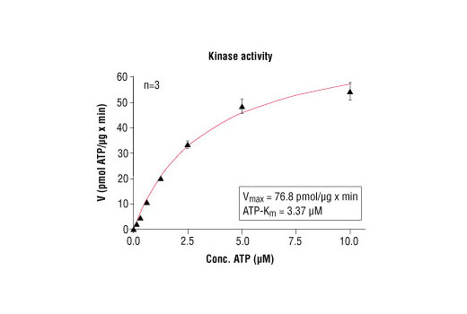 Figure 1. EphB3 kinase activity was measured in a radiometric assay using the following reaction conditions: 60 mM HEPES-NaOH, pH 7.5, 3 mM MgCl2, 3 mM MnCl2, 3 µM Na-orthovanadate, 1.2 mM DTT, ATP (variable), 2.5 µg/50 µl PEG20.000, Substrate: PolyEY, 0.5 µg/50 µl, recombinant EphB3: 25 ng/50 µl.