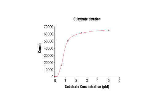 Figure 4. Peptide concentration dependence of EphB3 kinase activity: DELFIA® data generated using Phospho-Tyrosine mAb (P-Tyr-100) #9411 to detect phosphorylation of substrate peptide (#1330) by EphB3 kinase. In a 50 µl reaction, 50 ng of EphB3 and increasing concentrations of substrate peptide were used per reaction at room temperature for 30 minutes. (DELFIA® is a registered trademark of PerkinElmer, Inc.)