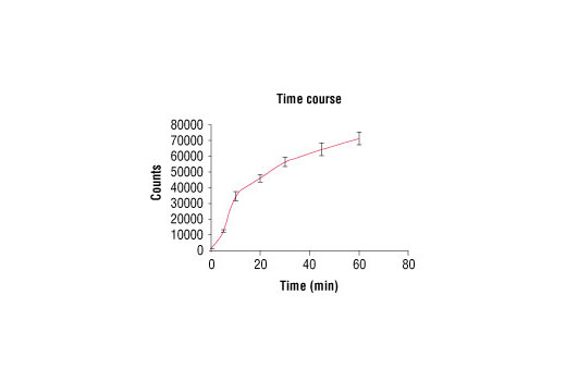 Figure 2. Time course of EphB3 kinase activity: DELFIA® data generated using Phospho-Tyrosine mAb (P-Tyr-100) #9411 to detect phosphorylation of EphB3 substrate peptide (#1330) by EphB3 kinase. In a 50 µl reaction, 50 ng EphB3 and 1.5 µM substrate peptide were used per reaction. (DELFIA® is a registered trademark of PerkinElmer, Inc.)