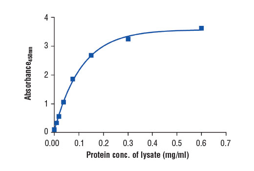 Figure 2. The relationship between protein concentration of lysates from HeLa cells and the absorbance at 450 nm as detected by the PathScan® Total GAPDH Sandwich ELISA Kit #7157 is shown. HeLa cells (85% confluence) were harvested and then lysed.