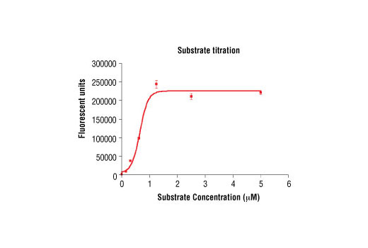 Figure 4. Peptide concentration dependence of IKKepsilon kinase activity: DELFIA® data generated using Phospho-(Ser/Thr) Phe Antibody #9631 to detect phosphorylation of substrate peptide (#1134) by IKKepsilon kinase. In a 50 µl reaction, 50 ng of IKKepsilon and increasing concentrations of substrate peptide were used per reaction at room temperature for 30 minutes. (DELFIA® is a registered trademark of PerkinElmer, Inc.)