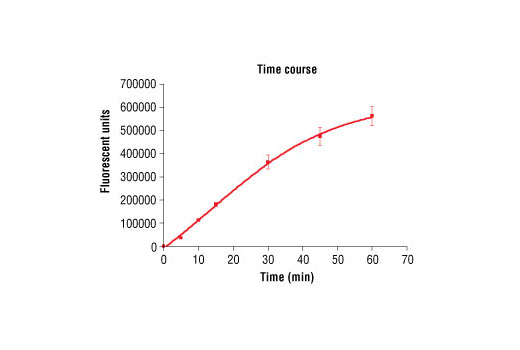 Figure 2. Time course of IKKepsilon kinase activity: DELFIA® data generated using Phospho-(Ser/Thr) Phe Antibody #9631 to detect phosphorylation of IKKepsilon substrate peptide #1134 by IKKepsilon kinase. In a 50 µl reaction, 50 ng IKKepsilon and 1.5 µM substrate peptide were used per reaction. (DELFIA® is a registered trademark of PerkinElmer, Inc.)
