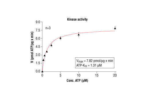 Figure 1. PAK4 kinase activity was measured in a radioisotopic filter binding assay using the following reaction conditions: 60 mM HEPES-NaOH, pH 7.5, 3 mM MgCl2, 3 mM MnCl2, 3 μM Na-orthovanadate, 1.2 mM DTT, ATP (variable), 2.5 μg/50 μl PEG20,000, Substrate: tetra (LRRWSLG), 2.5 μg/50 μl, recombinant PAK4: 100 ng/50 μL.