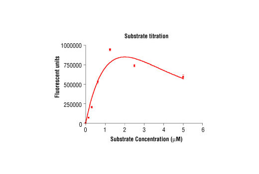 Figure 4. Peptide concentration dependence of PAK4 kinase activity: DELFIA ® data generated using Phospho-PLK (Ser137) Antibody #5070 to detect phosphorylation of substrate peptide (#1300) by PAK4 kinase. In a 50 μl reaction, 100 ng of PAK4 and increasing concentrations of substrate peptide were used per reaction at room temperature for 30 minutes. (DELFIA ® is a registered trademark of PerkinElmer, Inc.)