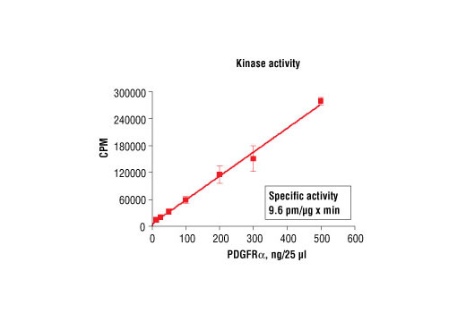 Figure 1. PDGFRalpha kinase activity was measured in a radiometric assay using the following reaction conditions: 60 mM HEPES-NaOH, pH 7.5, 5 mM MgCl2, 5 mM MnCl2, 3 µM Na-orthovanadate, 1.2 mM DTT, 100 µM ATP, 100 µM FLT3 (Tyr589) Biotinylated Peptide (#1305) and variable amount of Recombinant PDGFRalpha. Reaction mixture incubated at room temperature for 10 minutes.