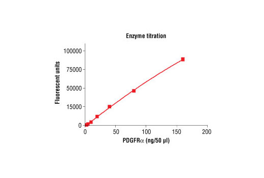 Figure 3. Dose dependence curve of PDGFRalpha kinase activity: DELFIA® data generated using Phospho-Tyrosine Mouse mAb (P-Tyr-100) #9411 to detect phosphorylation of substrate peptide (#1305) by PDGFRalpha kinase. In a 50 µl reaction, increasing amounts of PDGFRalpha and 1.5 µM substrate peptide were used per reaction at room temperature for 30 minutes. (DELFIA® is a registered trademark of PerkinElmer, Inc.)