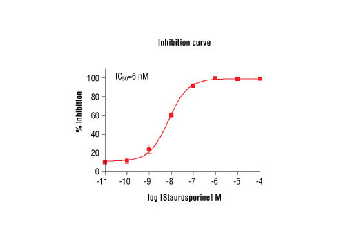 Figure 5. Staurosporine inhibition of PDGFRalpha kinase activity: DELFIA® data generated using Phospho-Tyrosine Mouse mAb (P-Tyr-100) #9411 to detect phosphorylation of PDGFRalpha substrate peptide (#1305) by PDGFRalpha kinase. In a 50 µl reaction, 100 ng PDGFRalpha, 1.5 µM substrate peptide, 5 µM ATP and increasing amounts of staurosporine were used per reaction at room temperature for 30 minutes. (DELFIA® is a registered trademark of PerkinElmer, Inc.)