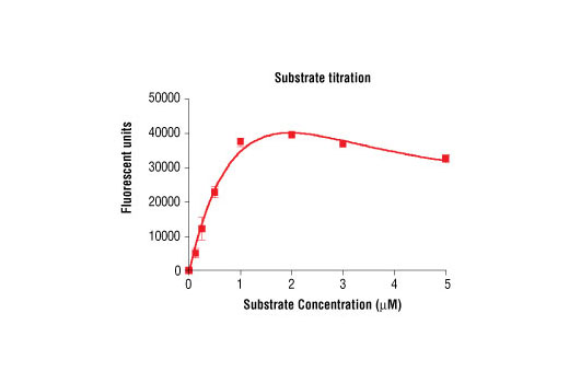 Figure 4. Peptide concentration dependence of PDGFRalpha kinase activity: DELFIA® data generated using Phospho-Tyrosine Mouse mAb (P-Tyr-100) #9411 to detect phosphorylation of substrate peptide (#1305) by PDGFRalpha kinase. In a 50 µl reaction, 100 ng of PDGFRalpha and increasing concentrations of substrate peptide were used per reaction at room temperature for 30 minutes. (DELFIA® is a registered trademark of PerkinElmer, Inc.)
