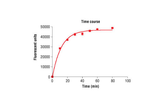 Figure 2. Time course of PDGFRalpha kinase activity: DELFIA® data generated using Phospho-Tyrosine Mouse mAb (P-Tyr-100) #9411 to detect phosphorylation of PDGFRalpha substrate peptide (#1305) by PDGFRalpha kinase. In a 50 µl reaction, 100 ng PDGFRalpha and 1.5 µM substrate peptide were used per reaction. (DELFIA® is a registered trademark of PerkinElmer, Inc.)