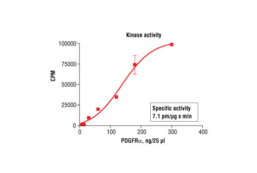 Figure 1. Mouse PDGFRalpha kinase activity was measured in a radiometric assay using the following reaction conditions: 60 mM HEPES-NaOH, pH 7.5, 5 mM MgCl2, 5 mM MnCl2, 3 µM Na-orthovanadate, 1.2 mM DTT, 100 µM ATP, 250 µM FLT3 (Tyr589) biotinylated peptide and variable amount of Recombinant mouse PDGFRalpha. Reaction mixture incubated at room temperature for 10 minutes.
