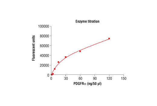 Figure 3. Dose dependence curve of mouse PDGFRalpha kinase activity: DELFIA® data generated using Phospho-Tyrosine Mouse mAb (P-Tyr-100) #9411 to detect phosphorylation of substrate peptide (#1305) by mouse PDGFRalpha kinase. In a 50 µl reaction, increasing amounts of mouse PDGFRalpha and 1.5 µM substrate peptide were used per reaction at room temperature for 30 minutes. (DELFIA® is a registered trademark of PerkinElmer, Inc.)