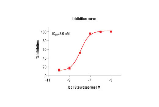 Figure 5. Staurosporine inhibition of mouse PDGFRalpha kinase activity: DELFIA® data generated using Phospho-Tyrosine Mouse mAb (P-Tyr-100) #9411 to detect phosphorylation of PDGFRalpha substrate peptide (#1305) by the mouse PDGFRalpha kinase. In a 50 µl reaction, 60 ng PDGFRalpha, 1.5 µM substrate peptide, 20 µM ATP and increasing amounts of staurosporine were used per reaction at room temperature for 30 minutes. (DELFIA® is a registered trademark of PerkinElmer, Inc.)