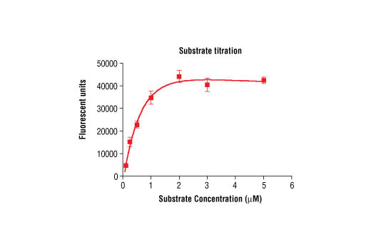 Figure 4. Peptide concentration dependence of mouse PDGFRalpha kinase activity: DELFIA® data generated using Phospho-Tyrosine Mouse mAb (P-Tyr-100) #9411 to detect phosphorylation of substrate peptide (#1305) by the mouse PDGFRalpha kinase. In a 50 µl reaction, 60 ng of PDGFRalpha and increasing concentrations of substrate peptide were used per reaction at room temperature for 30 minutes. (DELFIA® is a registered trademark of PerkinElmer, Inc.)
