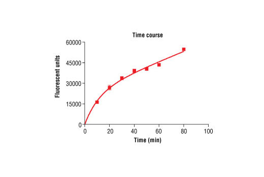 Figure 2. Time course of mouse PDGFRalpha kinase activity: DELFIA® data generated using Phospho-Tyrosine Mouse mAb (P-Tyr-100) #9411 to detect phosphorylation of PDGFRalpha substrate peptide (#1305) by the mouse PDGFRalpha kinase. In a 50 µl reaction, 60 ng PDGFRalpha and 1.5 µM substrate peptide were used per reaction. (DELFIA® is a registered trademark of PerkinElmer, Inc.)