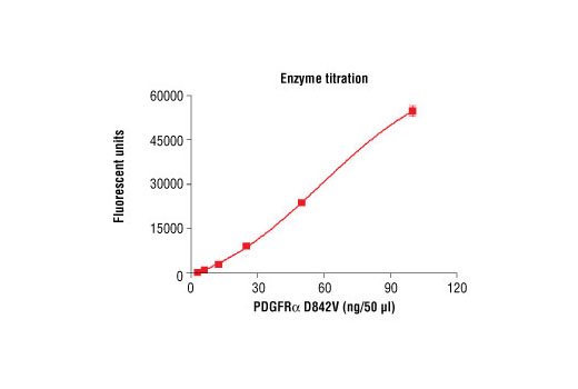 Figure 3. Dose dependence curve of PDGFRalpha D842V kinase activity: DELFIA® data generated using Phospho-Tyrosine Mouse mAb (P-Tyr-100) #9411 to detect phosphorylation of substrate peptide (#1305) by PDGFRalpha D842V kinase. In a 50 µl reaction, increasing amounts of PDGFRalpha D842V and 1.5 µM substrate peptide were used per reaction at room temperature for 30 minutes. (DELFIA® is a registered trademark of PerkinElmer, Inc.)
