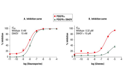 Figure 5. Sensitivities of wild type and mutant PDGFRalpha D842V kinases to Staurosporine (A) and Gleevec (B) were compared: DELFIA® data generated using Phospho-Tyrosine mAb (P-Tyr-100) #9411 to detect phosphorylation of PDGFRalpha substrate peptide (#1305) by the PDGFRalpha kinases. In a 50 µl reaction, 100 ng of kinase, 1.5 µM substrate peptide, 20 µM ATP and increasing concentration of indicated inhibitors were used per reaction well at room temperature for 30 minutes. (DELFIA® is a registered trademark of PerkinElmer, Inc.)