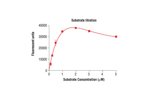 Figure 4. Peptide concentration dependence of PDGFRalpha D842V kinase activity: DELFIA® data generated using Phospho-Tyrosine Mouse mAb (P-Tyr-100) #9411 to detect phosphorylation of substrate peptide (#1305) by PDGFRalpha D842V kinase. In a 50 µl reaction, 100 ng of PDGFRalpha D842V and increasing concentrations of substrate peptide were used per reaction at room temperature for 30 minutes. (DELFIA® is a registered trademark of PerkinElmer, Inc.)