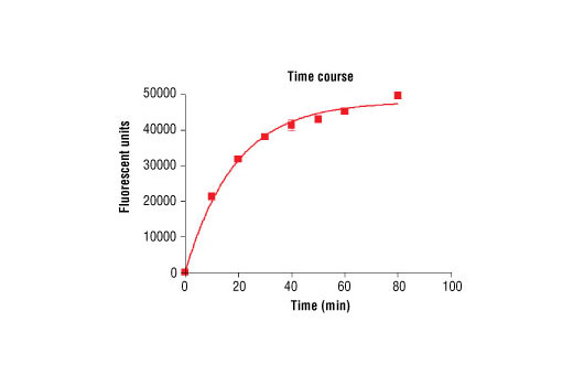 Figure 2. Time course of PDGFRalpha D842V kinase activity: DELFIA® data generated using Phospho-Tyrosine Mouse mAb (P-Tyr-100) #9411 to detect phosphorylation of PDGFRalpha D842V substrate peptide (#1305) by PDGFRalpha D842V kinase. In a 50 µl reaction, 100 ng PDGFRalpha D842V and 1.5 µM substrate peptide were used per reaction. (DELFIA® is a registered trademark of PerkinElmer, Inc.)