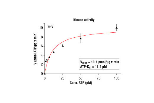 Figure 4. PDGFR alpha kinase activity was measured in a radioisotopic filtration assay using the following reaction conditions: 60 mM HEPES-NaOH, pH 7.5, 3 mM MgCl2, 3 mM MnCl2, 3 uM Na-orthovanadate, 1.2 mM DTT, ATP (variable), 2.5 ug/50 ul PEG20.000, Substrate: Poly(AEKY) 2.5 ug/50 ul, Recombinant PDGFR alpha: 20 Units/50 ul.