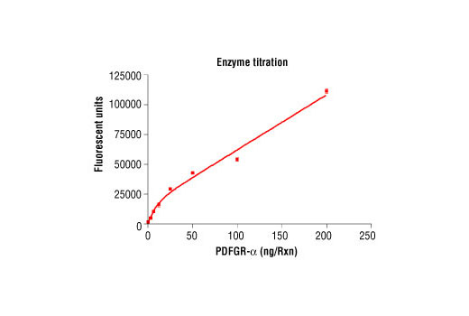 Figure 2. Dose dependence curve of GST-PDGFR-alpha kinase activity: DELFIA® data generated using Phospho-Tyrosine mAb P-Tyr-100 #9411 to detect phosphorylation of substrate peptide (#1305) by PDGFR-alpha kinase. In a 50 ul reaction, increasing amounts of PDGFR-alpha and 1.5 uM substrate peptide were used per reaction well at 25ºC for 30 minutes. Background reading is 1624. (DELFIA® is a registered trademark of PerkinElmer, Inc.)