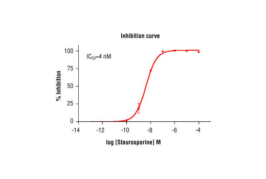 Figure 5. Staurosporine inhibition of PDGFR-alpha kinase activity: DELFIA® data generated using Phospho-Tyrosine mAb P-Tyr-100 #9411 to detect phosphorylation of PDGFR-alpha substrate peptide (#1305) by GST-PDGFR-alpha kinase. In a 50 ul reaction, 10 Units PDGFRalpha kinase, 1.5 uM substrate peptide, 20 uM ATP and increasing amounts of staurosporine were used per reaction well at 25ºC room temperature for 30 minutes. (DELFIA® is a registered trademark of PerkinElmer, Inc.)