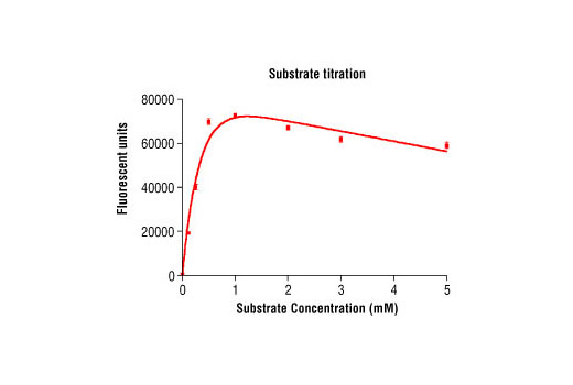 Figure 3. Peptide concentration dependence of PDGFR-alpha kinase activity: DELFIA® data generated using Phospho-Tyrosine mAb P-Tyr-100 #9411 to detect phosphorylation of substrate peptide (#1305) by PDGFR-alpha kinase. In a 50 ul reaction, 10 Units of PDGFR-alpha and increasing concentrations of substrate peptide were used per reaction well at 25ºC for 30 minutes. Background reading is 597. (DELFIA® is a registered trademark of PerkinElmer, Inc.)