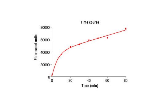 Figure 1. Time course of PDGFR-alpha kinase activity: DELFIA® data generated using Phospho-Tyrosine mAbP-Tyr-100 #9411 to detect phosphorylation of PDGFR-alpha substrate peptide (#1305) by PDGFR-alpha kinase. In a 50 ul reaction, 10 Units PDGFR alpha and 1.5 uM substrate peptide were used per reaction well. Background reading is 2421. (DELFIA® is a registered trademark of PerkinElmer, Inc.)
