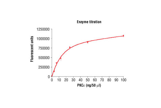 Figure 3. Dose dependence curve of PKCepsilon kinase activity: DELFIA® data generated using Phospho-PKA Substrate (RRXS/T) (100G7) Rabbit mAb #9624 to detect phosphorylation of substrate peptide (#1331) by PKCepsilon kinase. In a 50 µl reaction, increasing amounts of PKCepsilon and 1.5 µM substrate peptide were used per reaction at room temperature for 15 minutes. (DELFIA® is a registered trademark of PerkinElmer, Inc.)