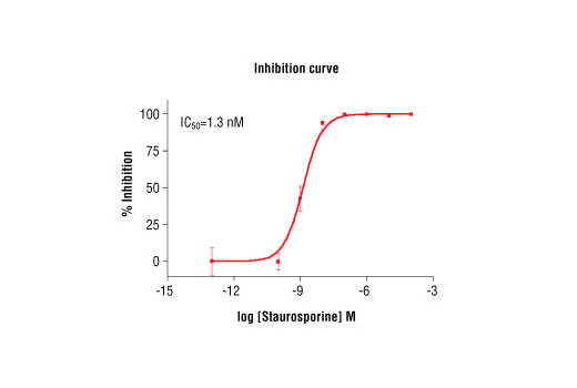 Figure 5. Staurosporine inhibition of PKCepsilon kinase activity: DELFIA® data generated using Phospho-PKA Substrate (RRXS/T) (100G7) Rabbit mAb #9624 to detect phosphorylation of PKCepsilon substrate peptide (#1331) by PKCepsilon kinase. In a 50 µl reaction, 25 ng PKCepsilon, 1.5 µM substrate peptide, 20 µM ATP and increasing amounts of staurosporine were used per reaction at room temperature for 15 minutes. (DELFIA® is a registered trademark of PerkinElmer, Inc.)
