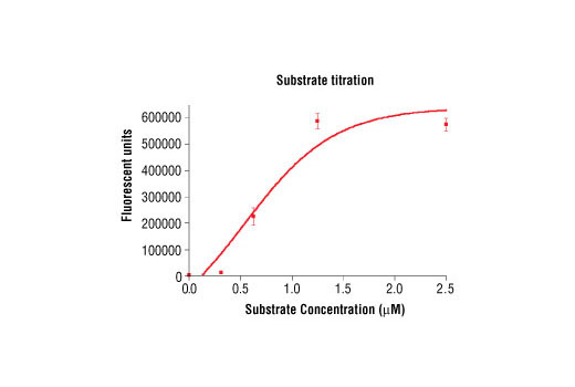 Figure 4. Peptide concentration dependence of PKCepsilon kinase activity: DELFIA® data generated using Phospho-PKA Substrate (RRXS/T) (100G7) Rabbit mAb #9624 to detect phosphorylation of substrate peptide (#1331) by PKCepsilon kinase. In a 50 µl reaction, 25 ng of PKCepsilon and increasing concentrations of substrate peptide were used per reaction at room temperature for 15 minutes. (DELFIA® is a registered trademark of PerkinElmer, Inc.)